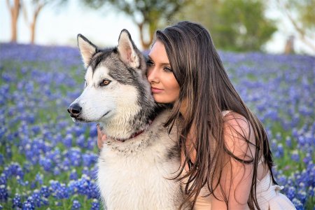 Сибирский хаски с человеком