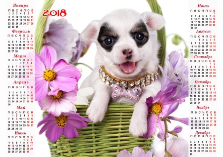 Штат чихуахуа