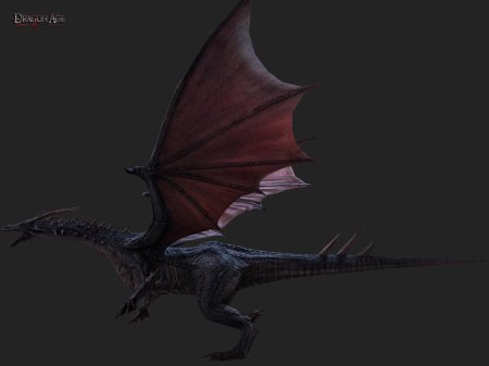 Dragon age origins дракон
