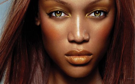 Тайра бэнкс