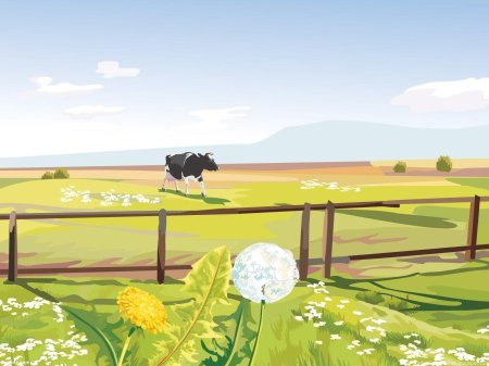 Сельские пейзажи