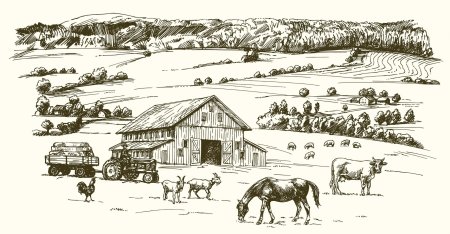 Зарисовки сельской местности