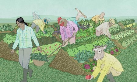 Свеня хансен агрокультура