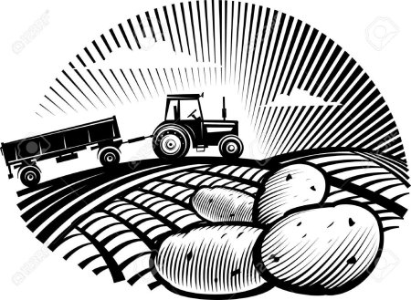 Логотип сельского хозяйства картошка