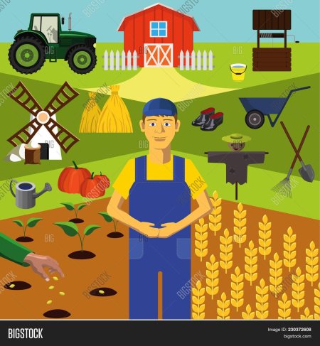 Сельскохозяйственные профессии