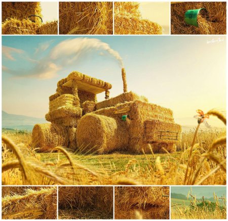 Композиции из сена