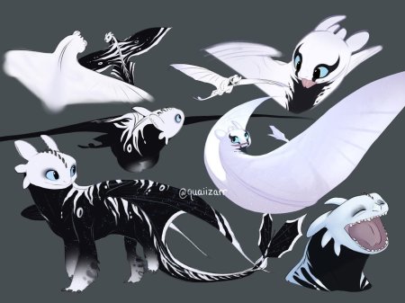 Дракон фурия референс