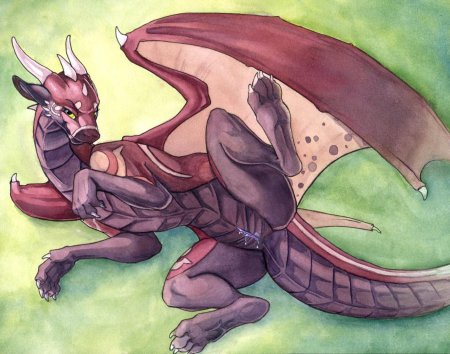 Драконы feral