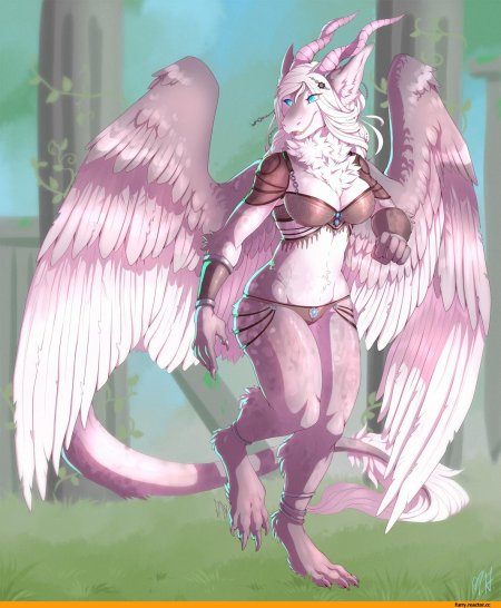 Фурри с крыльями