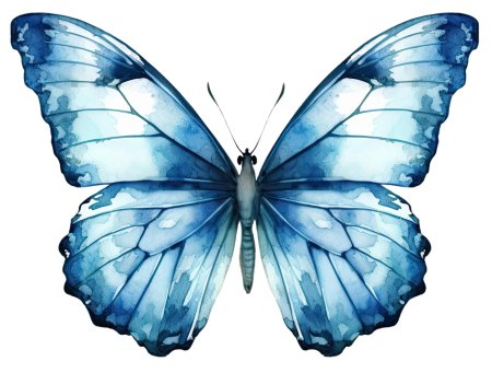 Голубая бабочка