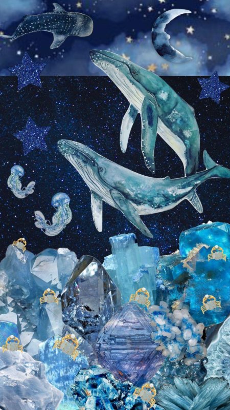 Кит иллюстрация