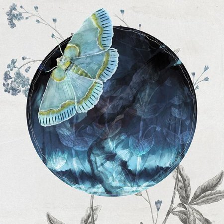 Бабочка арт