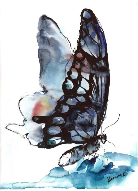 Бабочка акварель