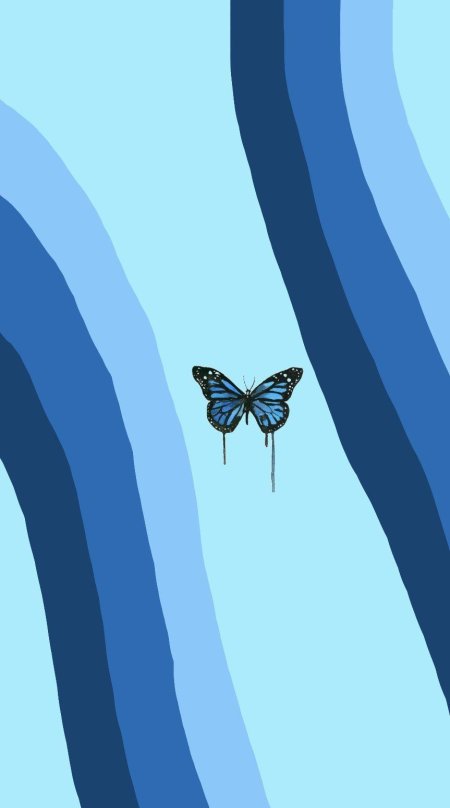 A blue butterfly
