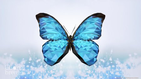 Голубая бабочка