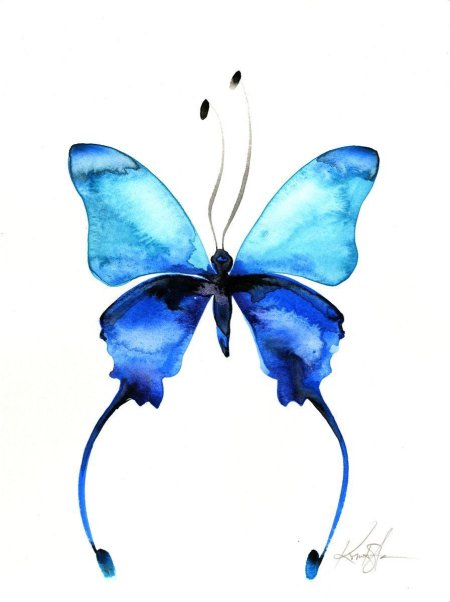 Бабочка акварель