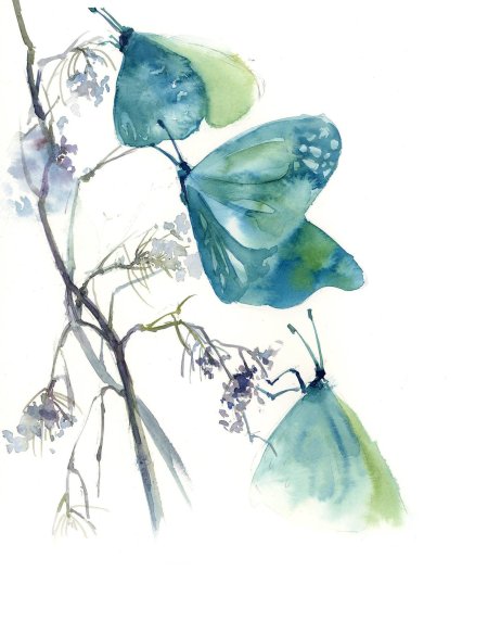 Бабочка акварель