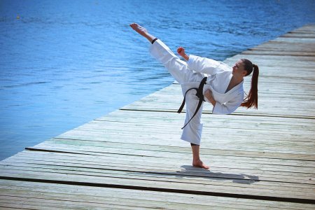 Спортивные девушки каратистки