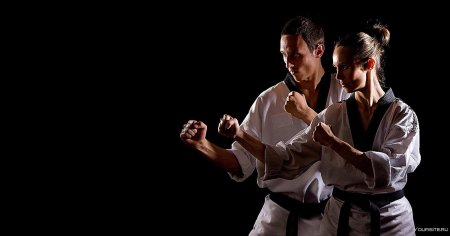 Восточное единоборство