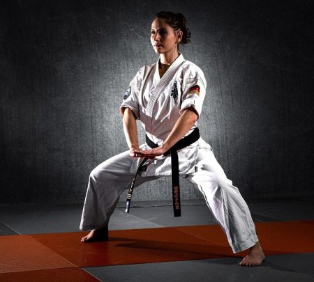 Кенджи мидори каратэ