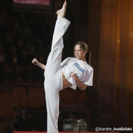 Карате герл