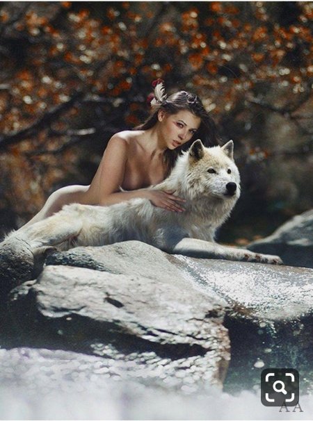 Девушка с волками