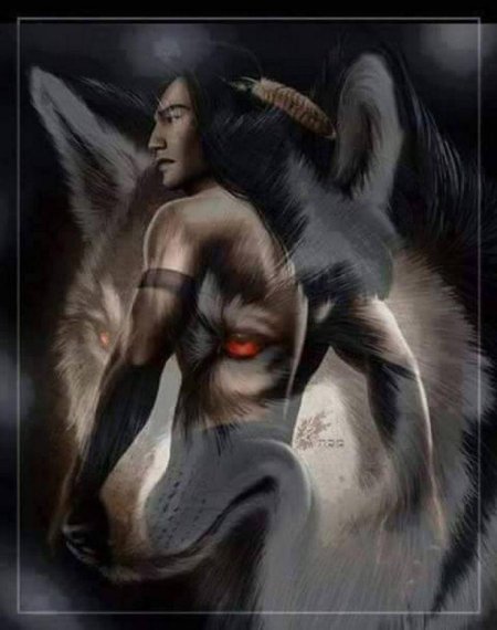 Волк индеец