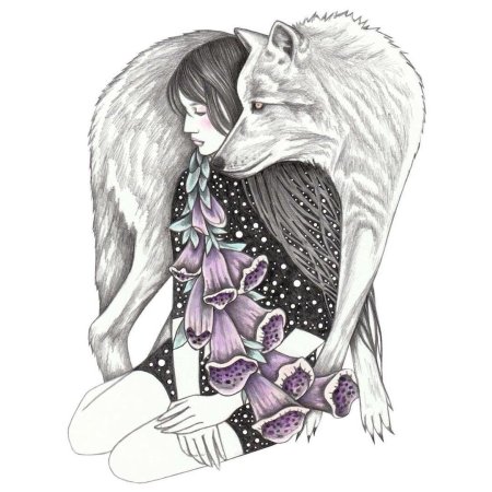 Волк и девушка