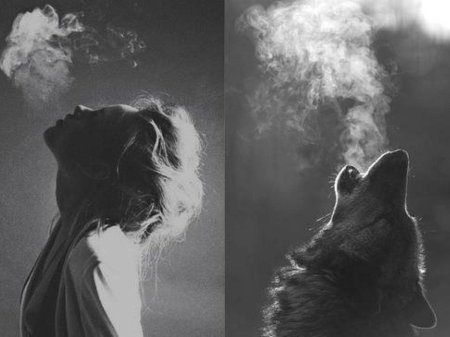 Волк девушка