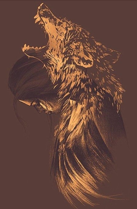 Волк арт