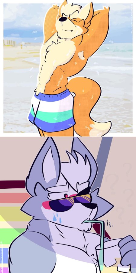 Фурри качки