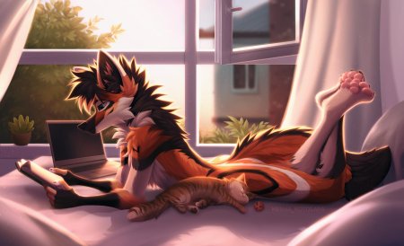 Книги про фурри