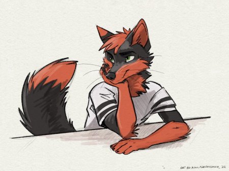 Лис генерал фурри