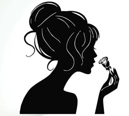 Силуэт девушек