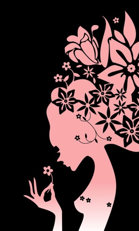 Силуэт девушек