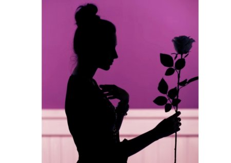 Силуэт девушки с розой