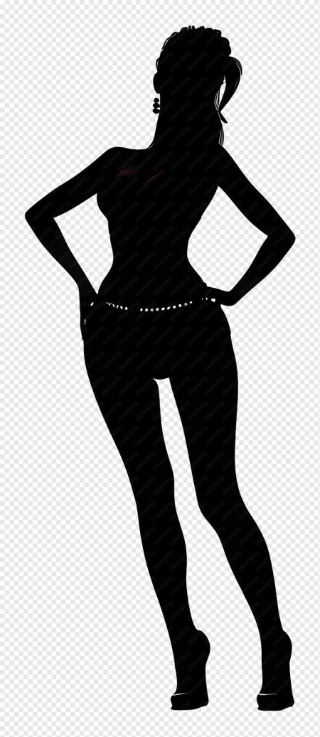 Силуэт женщин