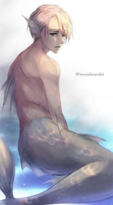 Merman yaoi