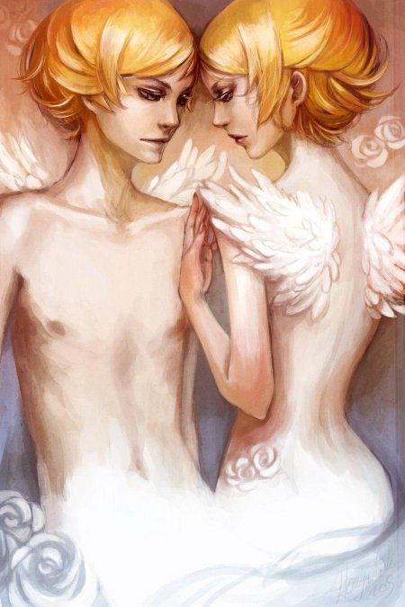 Близнецы яой