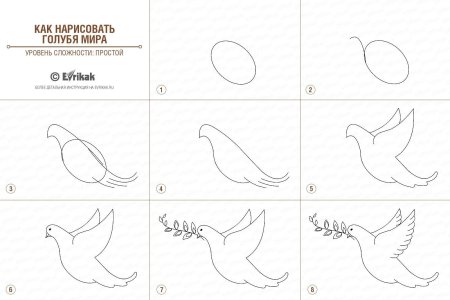 Поэтапное рисование голубя