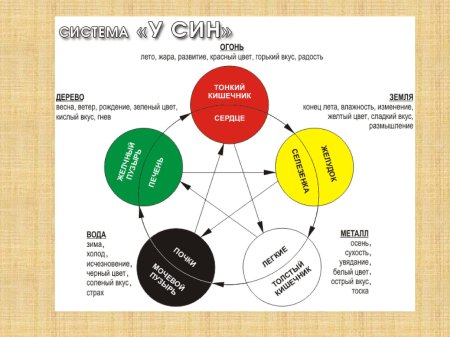 Теория усин китайская