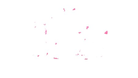 Лепестки сакуры