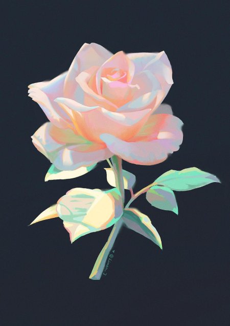 Роза картина