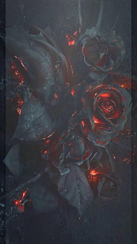 Дарк роуз эстетика