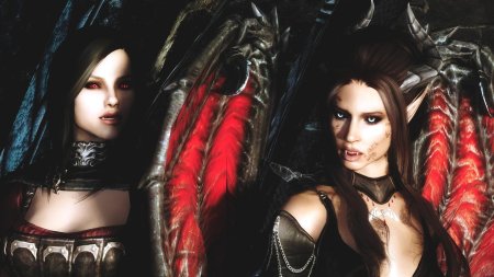 Skyrim компаньон суккуб