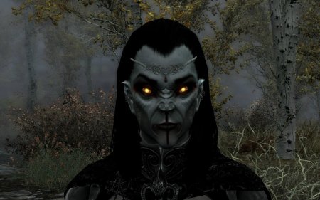 Лорд вампир данмер