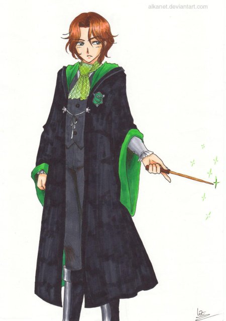 Гарри поттер слизеринец аниме