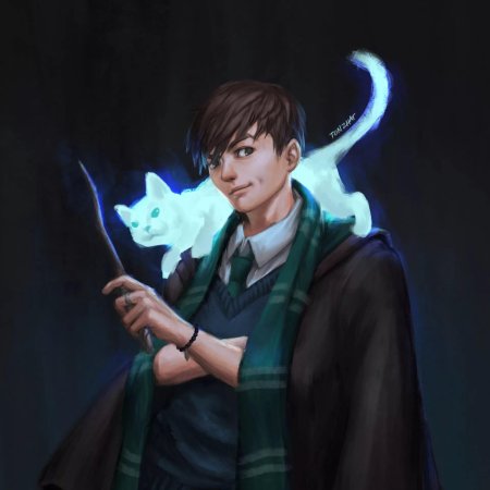 Том марволо реддл