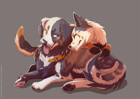 Собаки арты