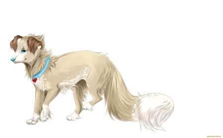 Аниме собака